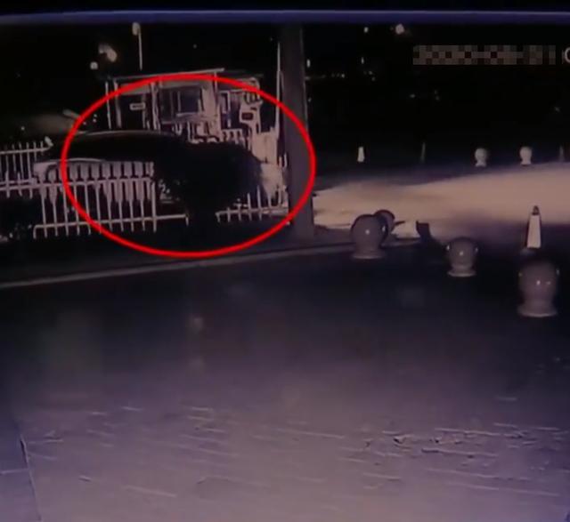 弹个车先租后买到期不给还车,弹个车以租代购怎么解决