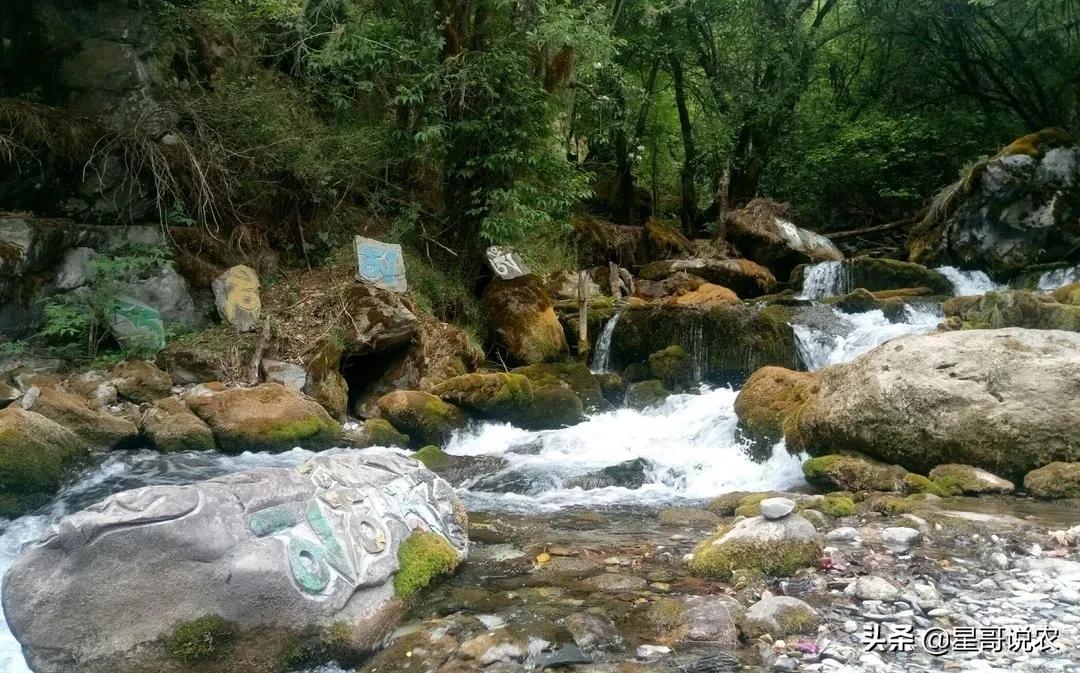 农村打井打到了水库了视频,打井打到墓穴村民喝古墓水