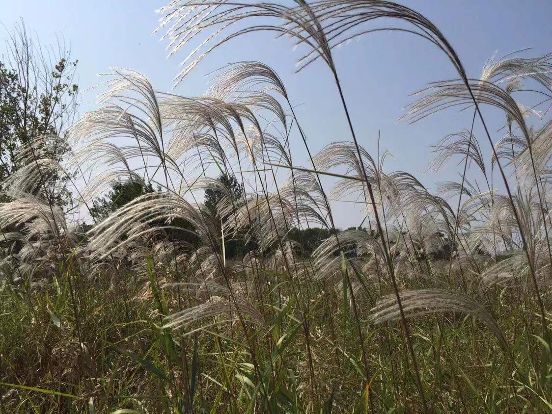 独自走在秋雨中,走在冷风中绵绵细雨