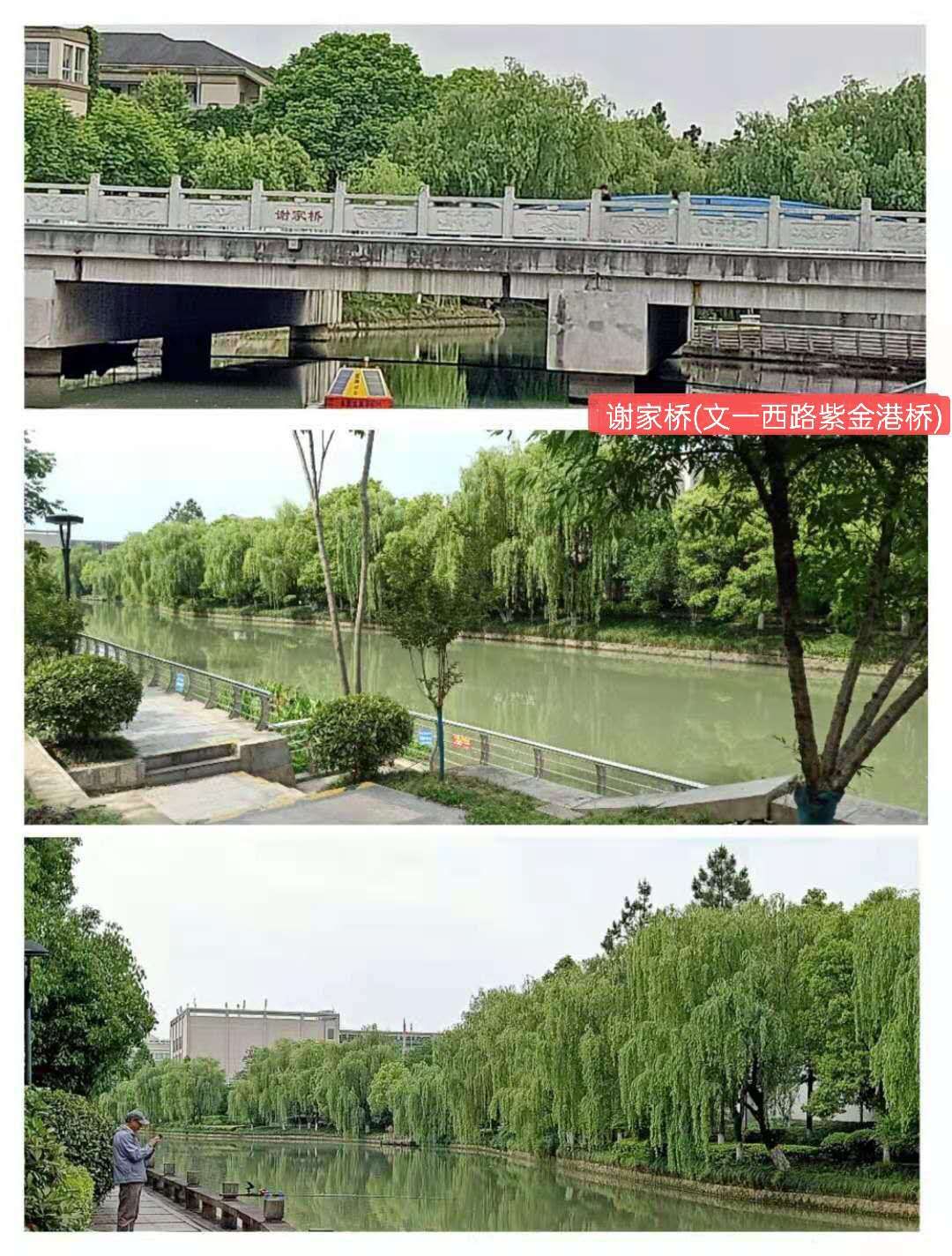 紫金港绿道钓鱼,紫金港河钓鱼