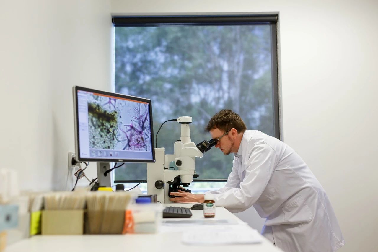 100元以下抗衰老精华,抗氧化精华20元