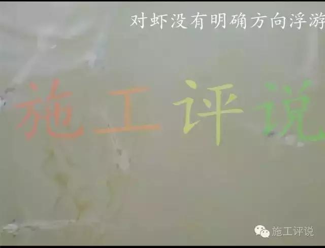 南美白对虾浮游怎么回事,南美白对虾为什么一直跳出水面
