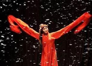 这个女人是中国历史上著名冤案的主角，被编成一个成语流传千古