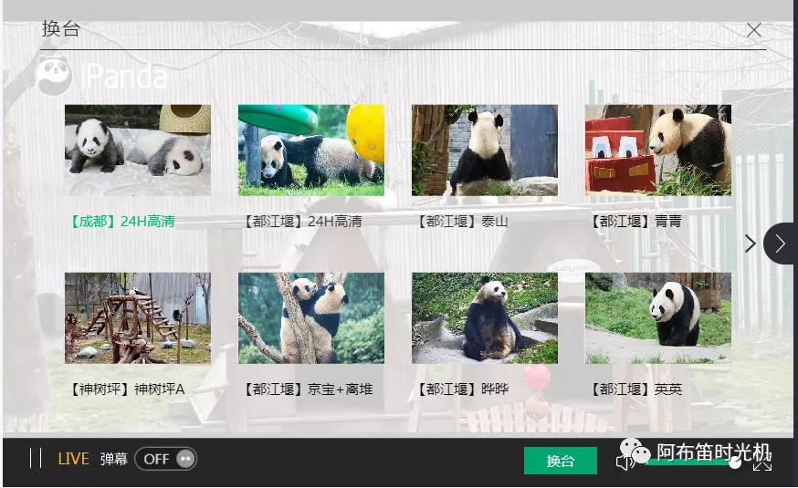 国内可以看熊猫吗,看熊猫要到哪里看