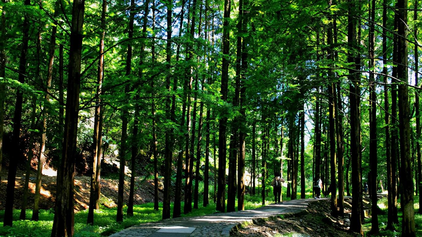 我国34个省级行政区域,浙江省绍兴市属于哪个地级市