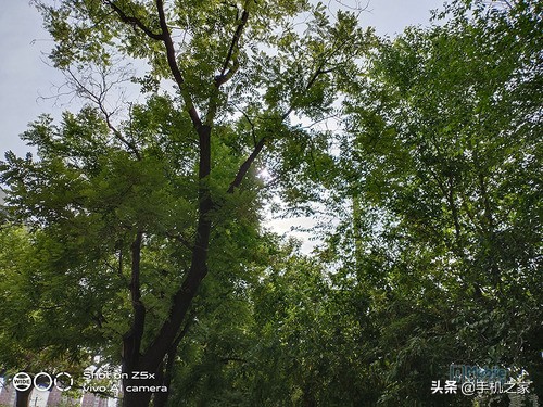 vivoz5x全面测评 (值得买吗vivo z5x)