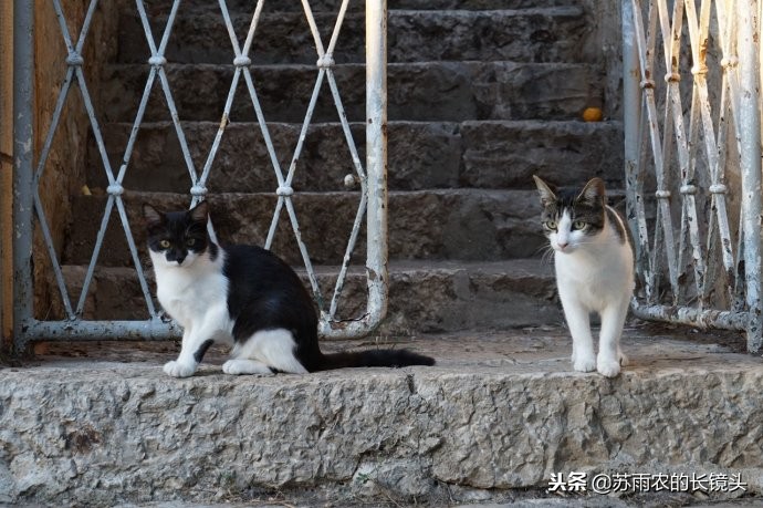 2019ces汽车科技,新年看车展