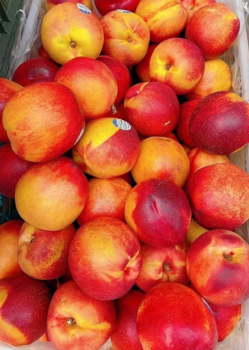 520水果花束预订,520表白玫瑰花束创意