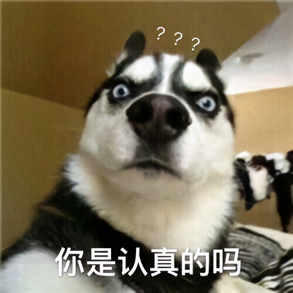 宿迁花木苗真的假的,宿迁为什么这么多假花木苗