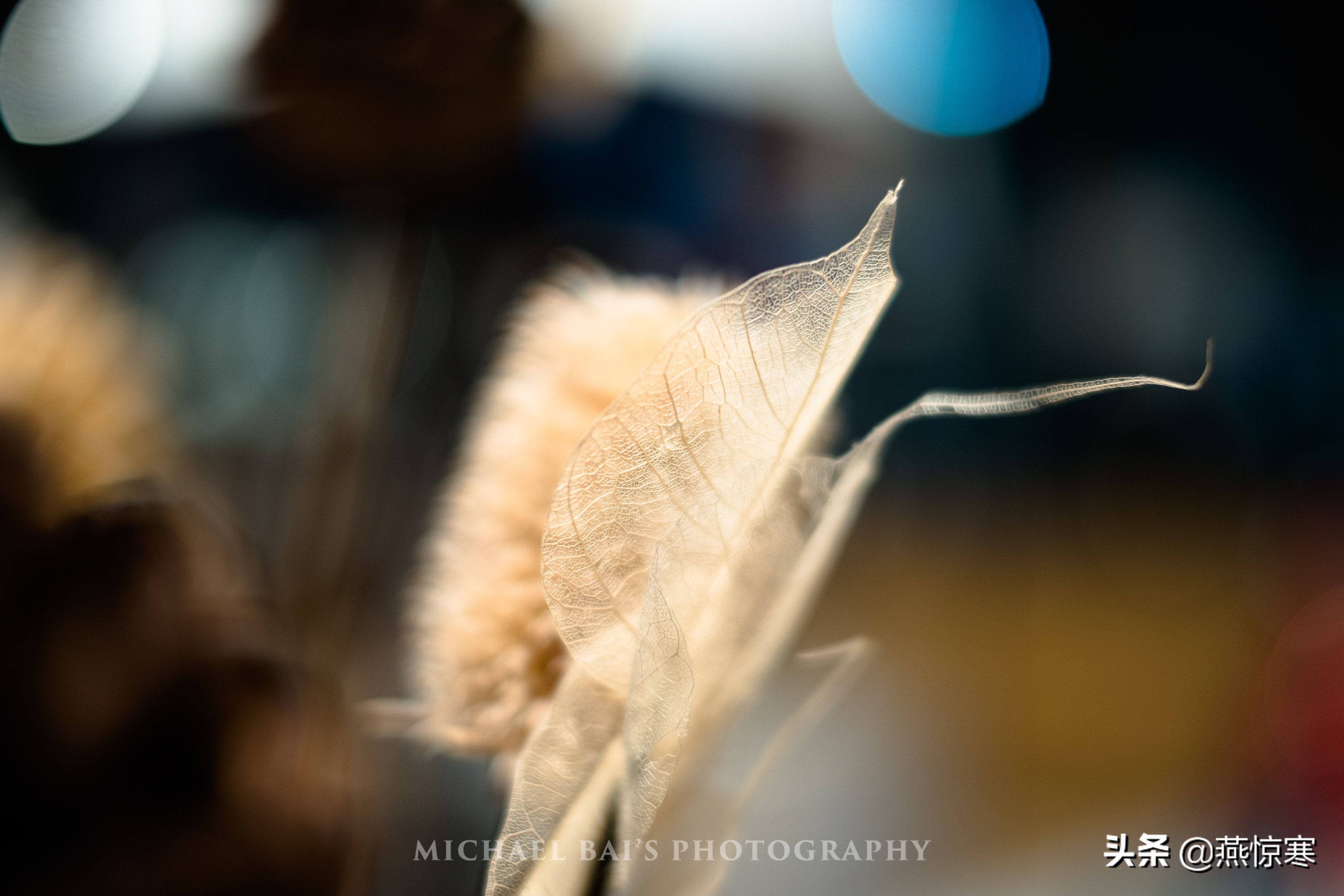 6000元相机加镜头推荐富士,富士相机用什么镜头比较好