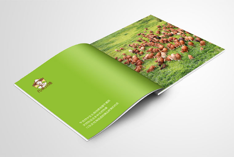 一本画册设计收费,画册设计有哪些流程