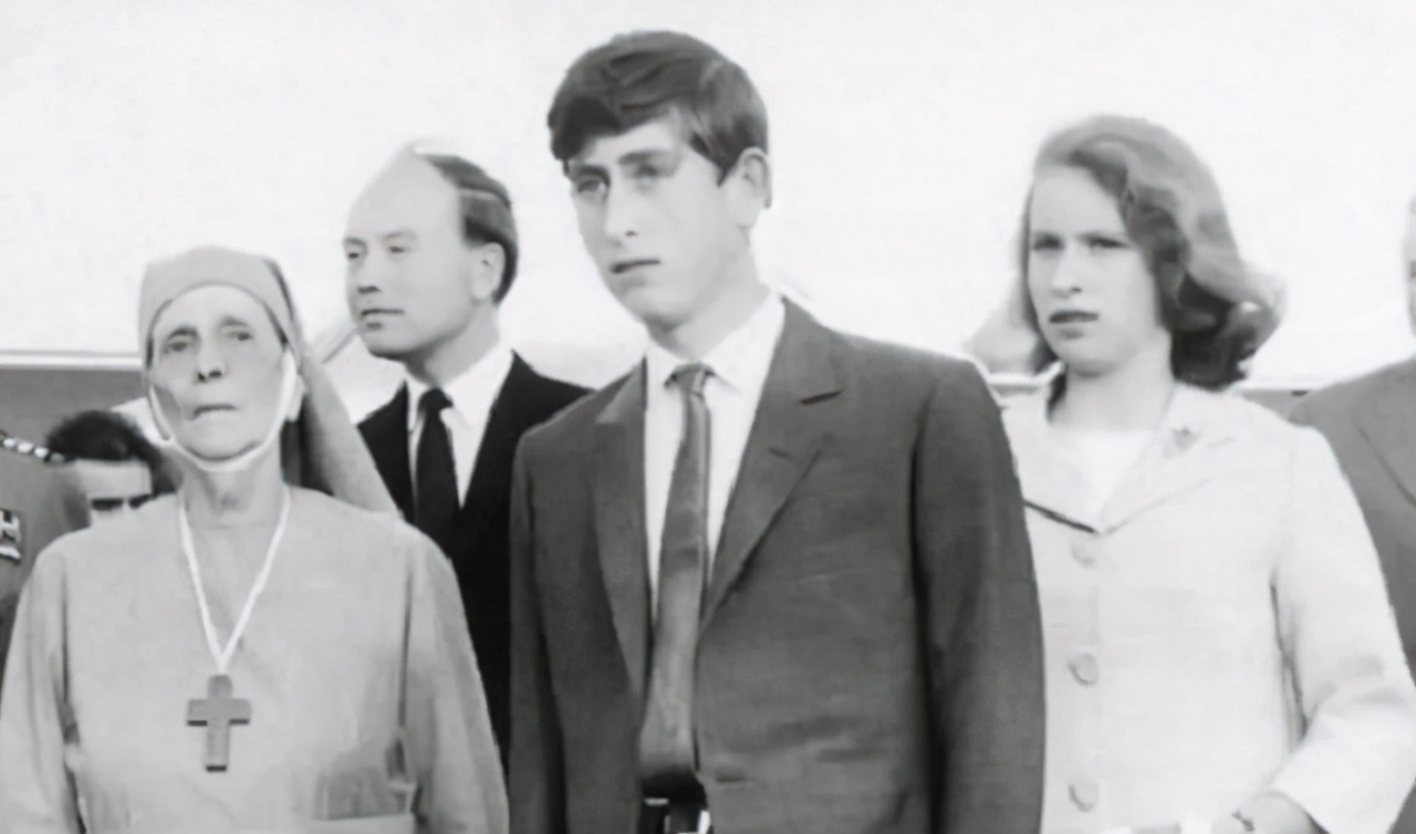 爱丽丝聋哑,爱丽丝恢复记忆