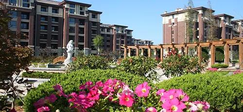 威海石岛房可买吗,威海石岛的房子