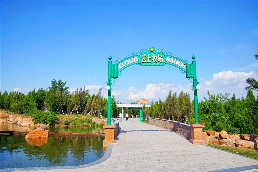 初夏河南,找寻童心,邂逅伏羲山的斜阳,一颗心萌化在云上牧场