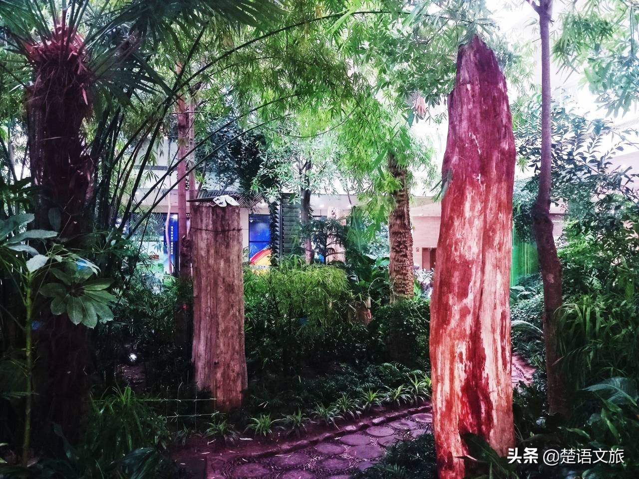 济南泉口湿地森林公园,济南南部山区森林公园推荐