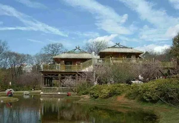 五一小长假昆明周边露营地点推荐,昆明周边户外露营游