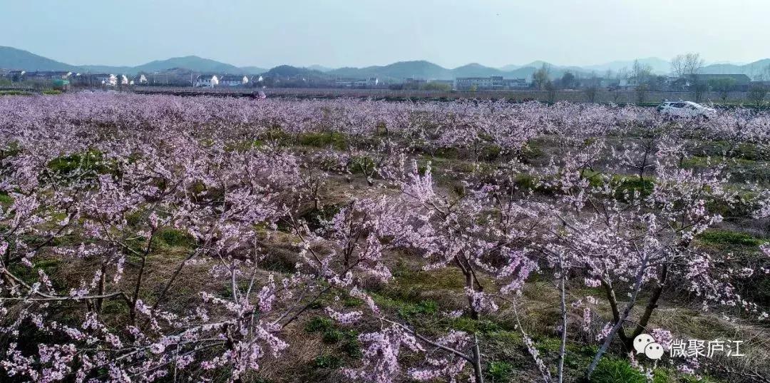 庐江乐桥岱尔山景区,庐江矾山有哪些景区
