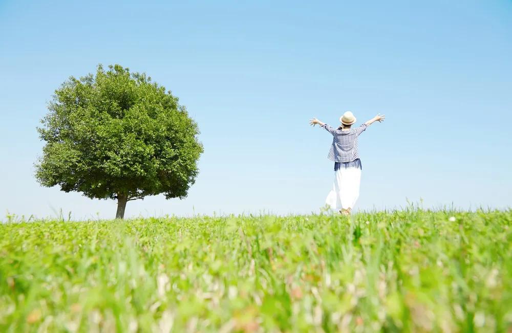 人活到极致就是通透和豁达,人活到极致一定是放下与平静