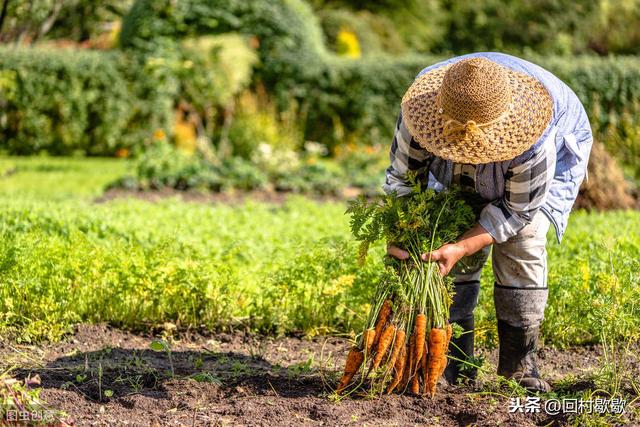 进城务工农民受到哪些排斥,农民对种粮食的态度