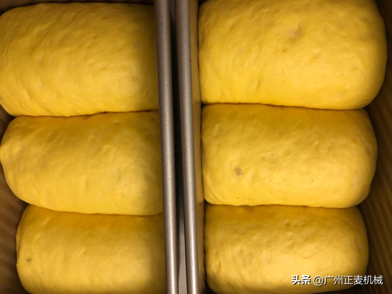 全麦无糖吐司面包烤箱做法,南瓜无糖吐司的做法