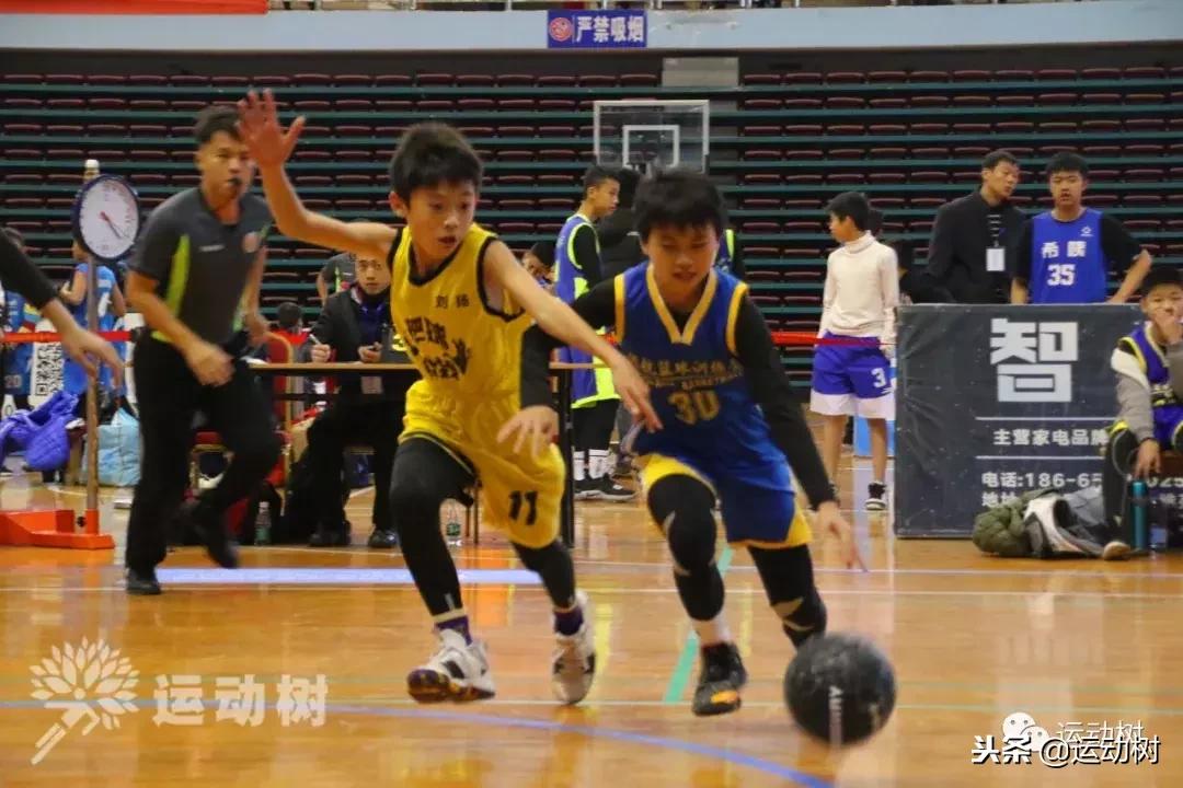 中国篮球名宿走进学校,中国篮球名宿26分