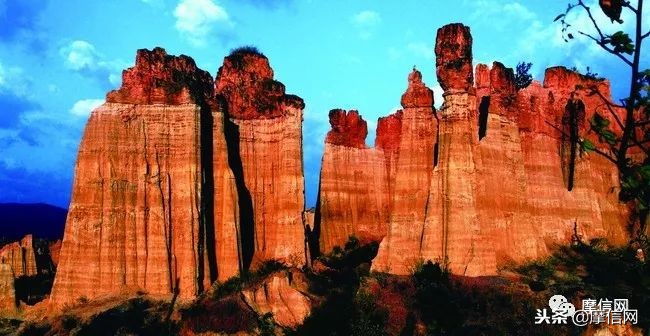 刘智远：摩托江湖的行者