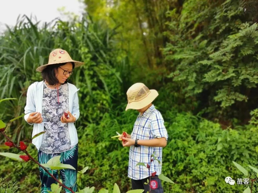 微时光田东,微时光美好生活