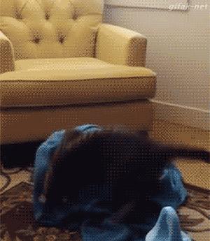 搞笑gif第八期,搞笑gif第三弹