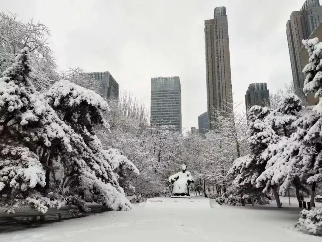 辽宁大学和鲁迅美术学院,辽宁省鲁迅美术学院是985吗