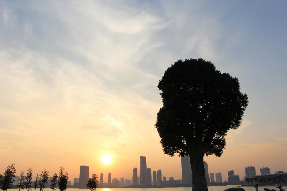 宜兴学区房有名额限制吗,宜兴学区房子买哪里比较合适