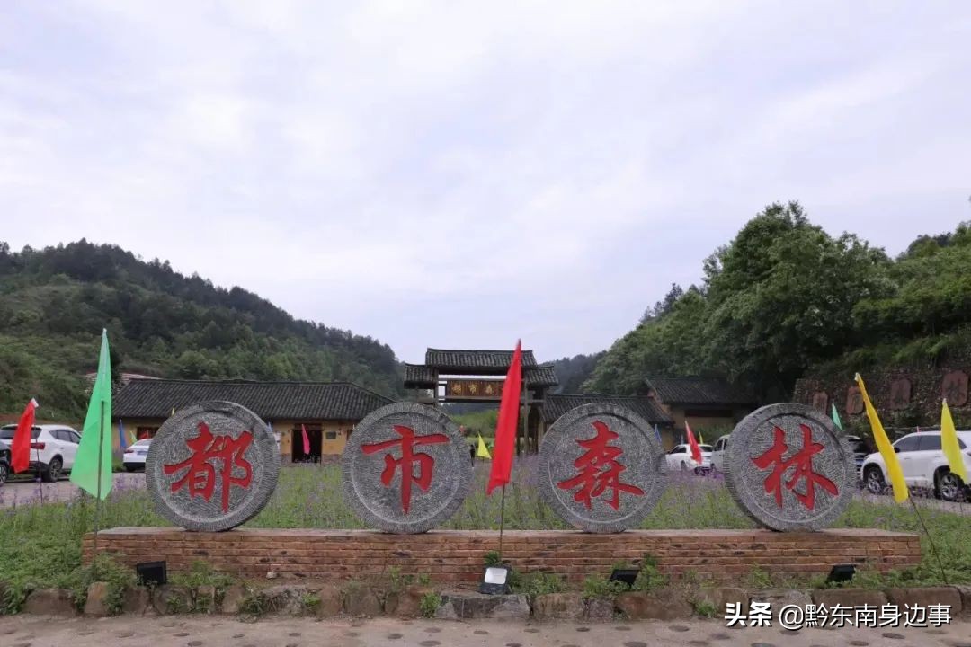 城市森林旅游景点推荐,都市森林王国游玩攻略