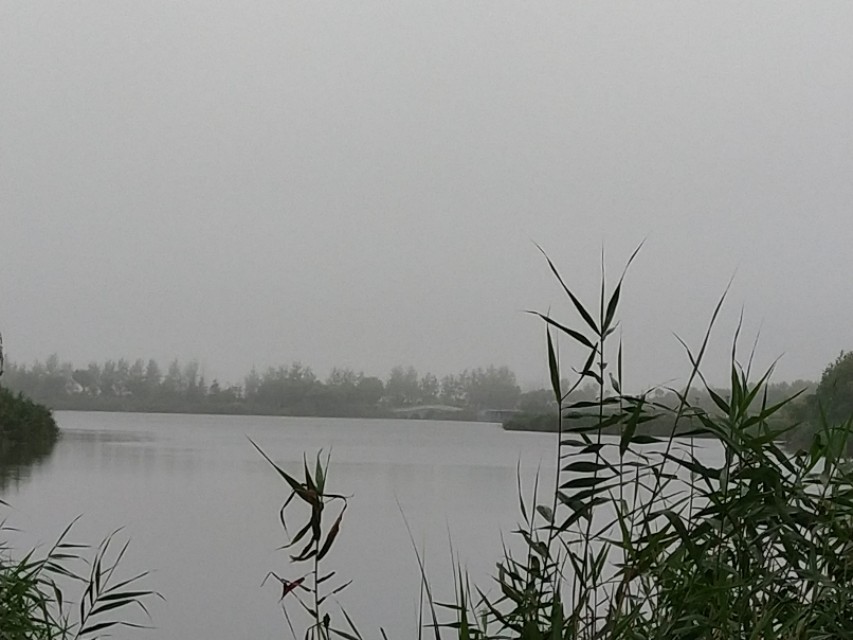 花笺记——我和花朵等来的不是你，却是七月最后一场雨