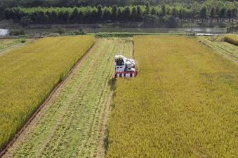 昆山限时特卖会,昆山大润发抢购