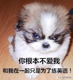 自学雅思一般需要多长时间,自学雅思的好处你根本想象不到