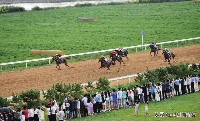各个皆风景！红凤巢玉如意……吸睛的二青会场馆