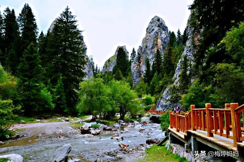 去甘南则岔石林,甘南省则岔石林