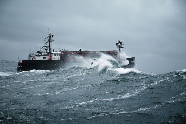 一周净赚30000美元！职业捕蟹人，每次出海都是一次搏命之旅