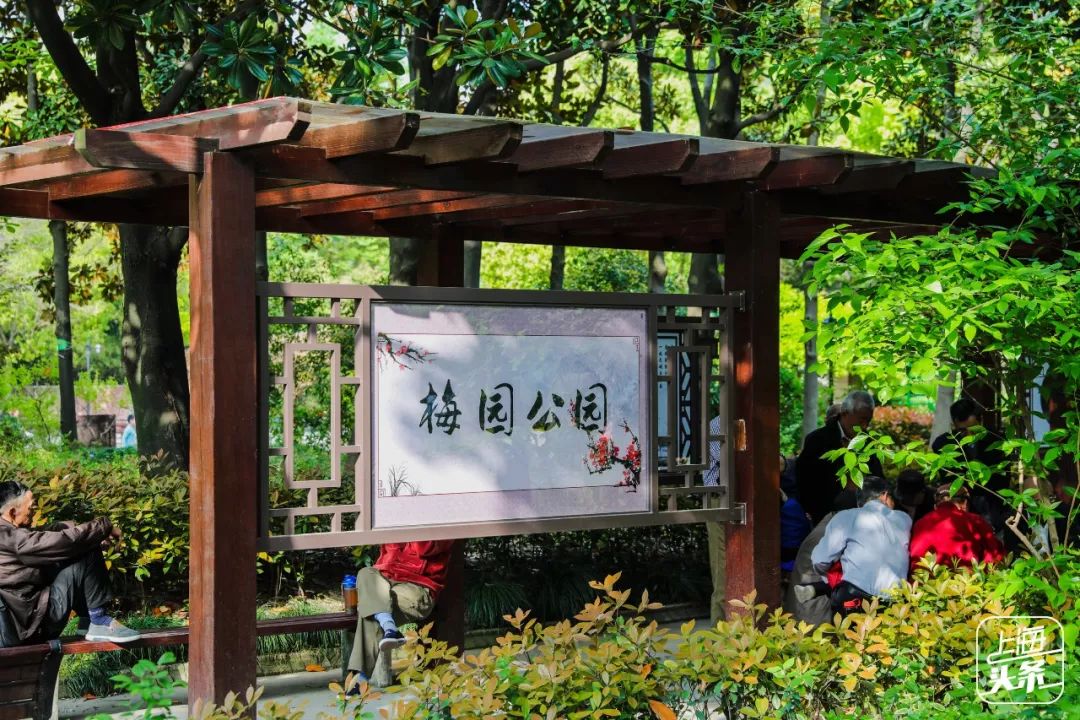 上海一日游古镇最佳路线免费景点,上海晚上十大必去免费景点