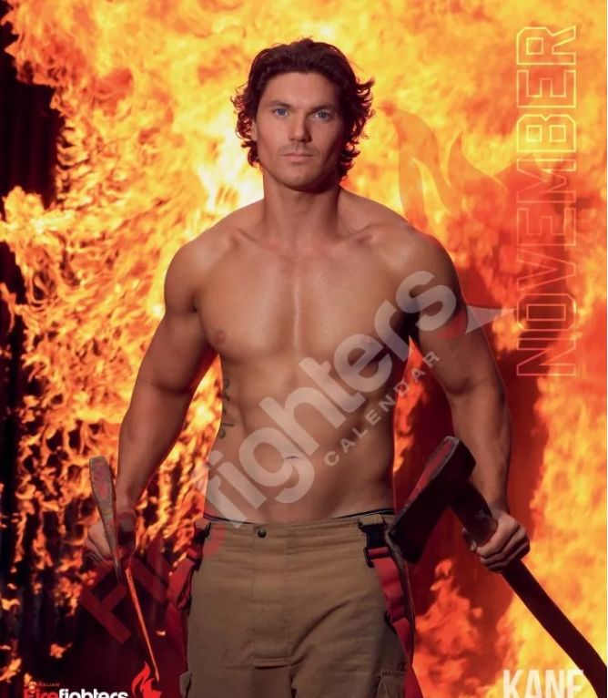 来了来了!他们带着猫猫又来了