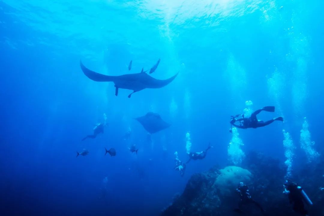 值得去的海岛城市 (更值得去的海岛)