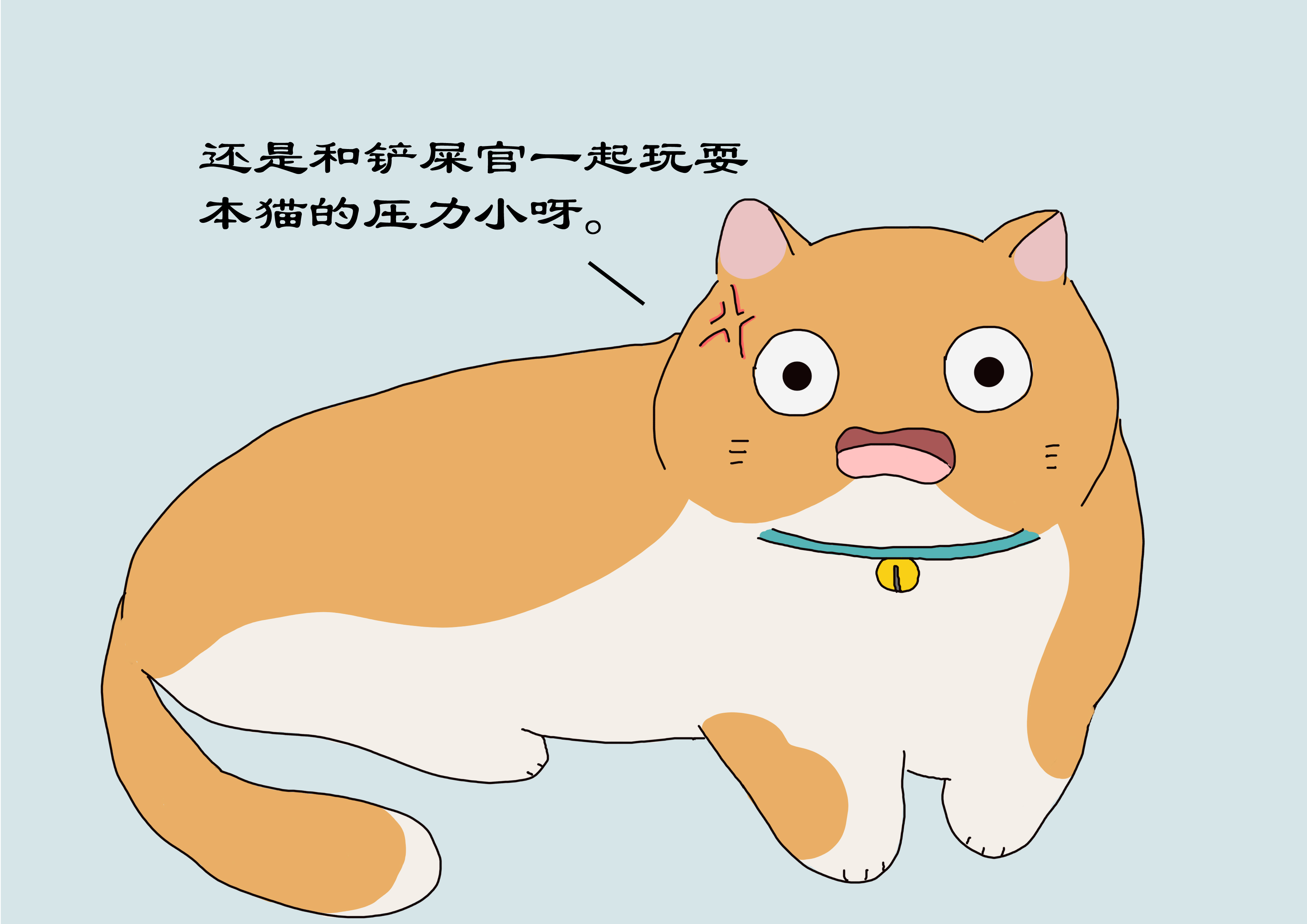 对猫有利的3种玩耍方式,对猫有益处的食物