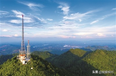 植树造林美龙城林下产业富百姓——市林业和园林局积极推进“花园城市”建设打造宜居宜业柳州侧记