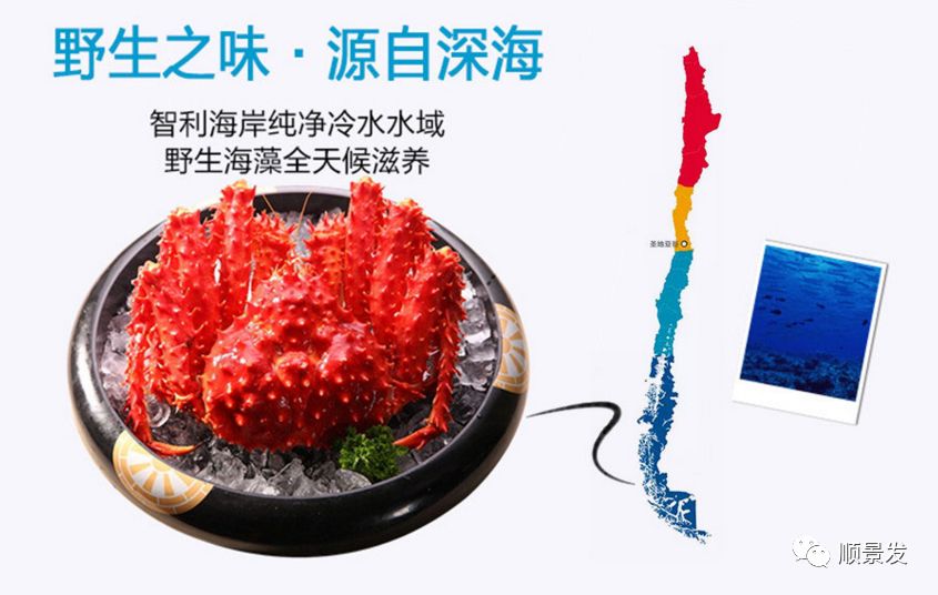 速冻海鲜如何解冻更鲜美,怎么让冷冻海鲜不改变口感