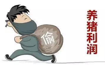 饲料霉菌毒素检测方法标准,常用饲料原料中霉菌毒素风险