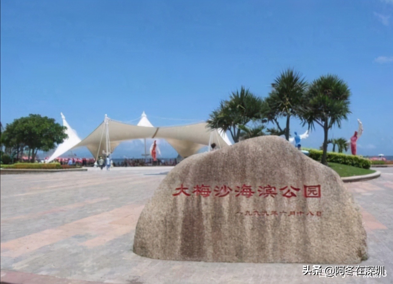 深圳一日游必去的十个免费景点,深圳一日游必去十大网红景点