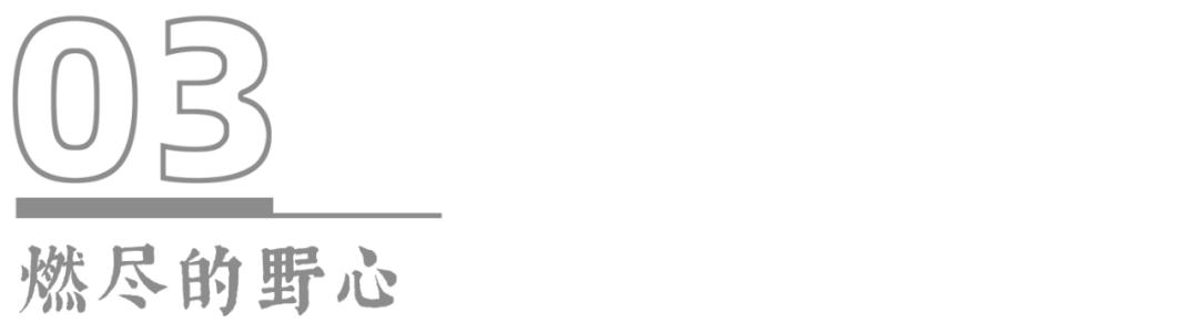 *手党黑**传奇教父+悲情烂片导演,这部电影是真正的灾难艺术品