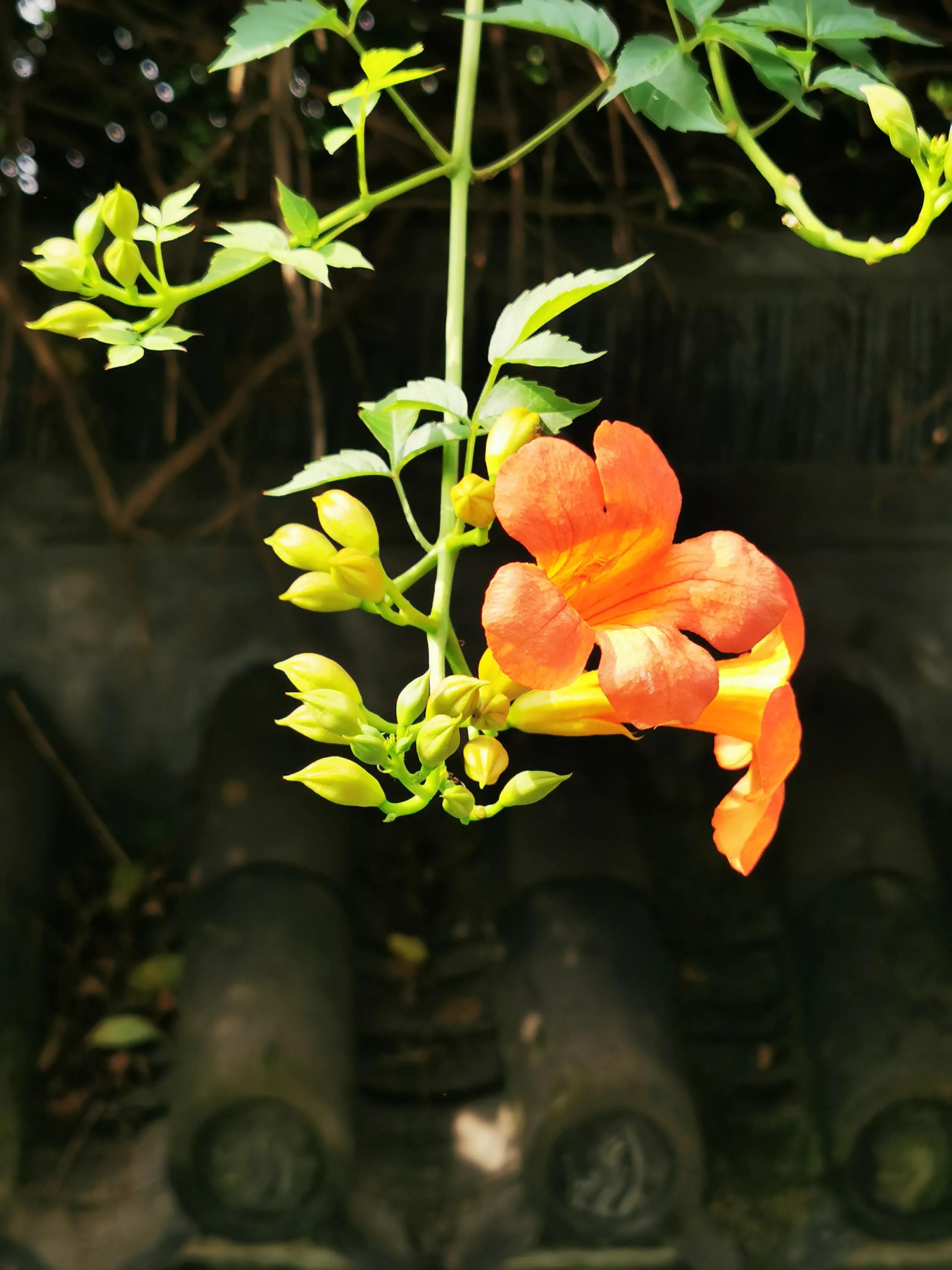 镇海区生活怎么样,镇海最好的地段是哪里