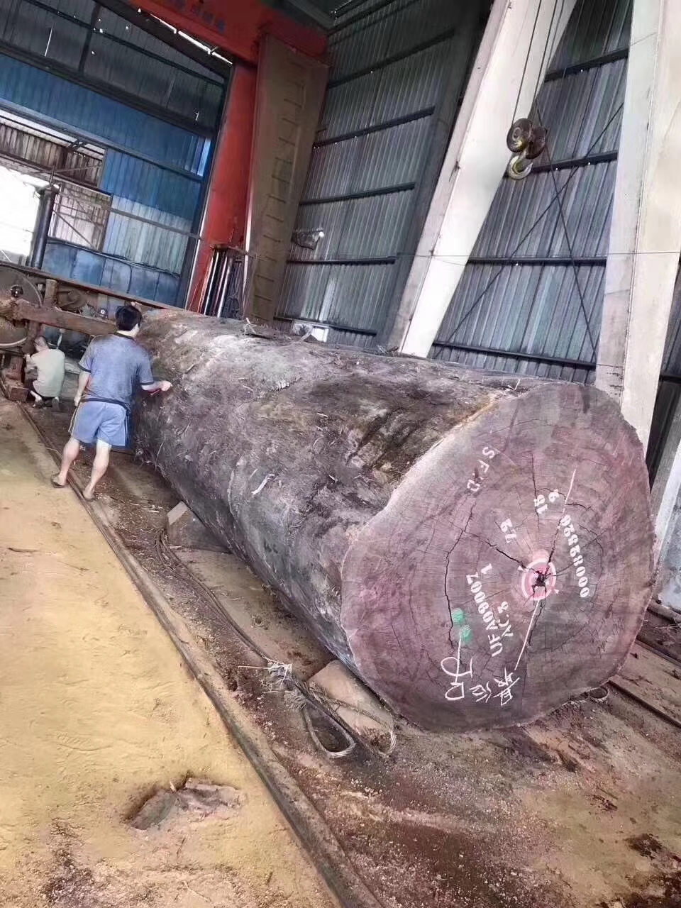 暗访东莞天价大板生产基地，原料全是称斤烂木头，富豪还排队来买