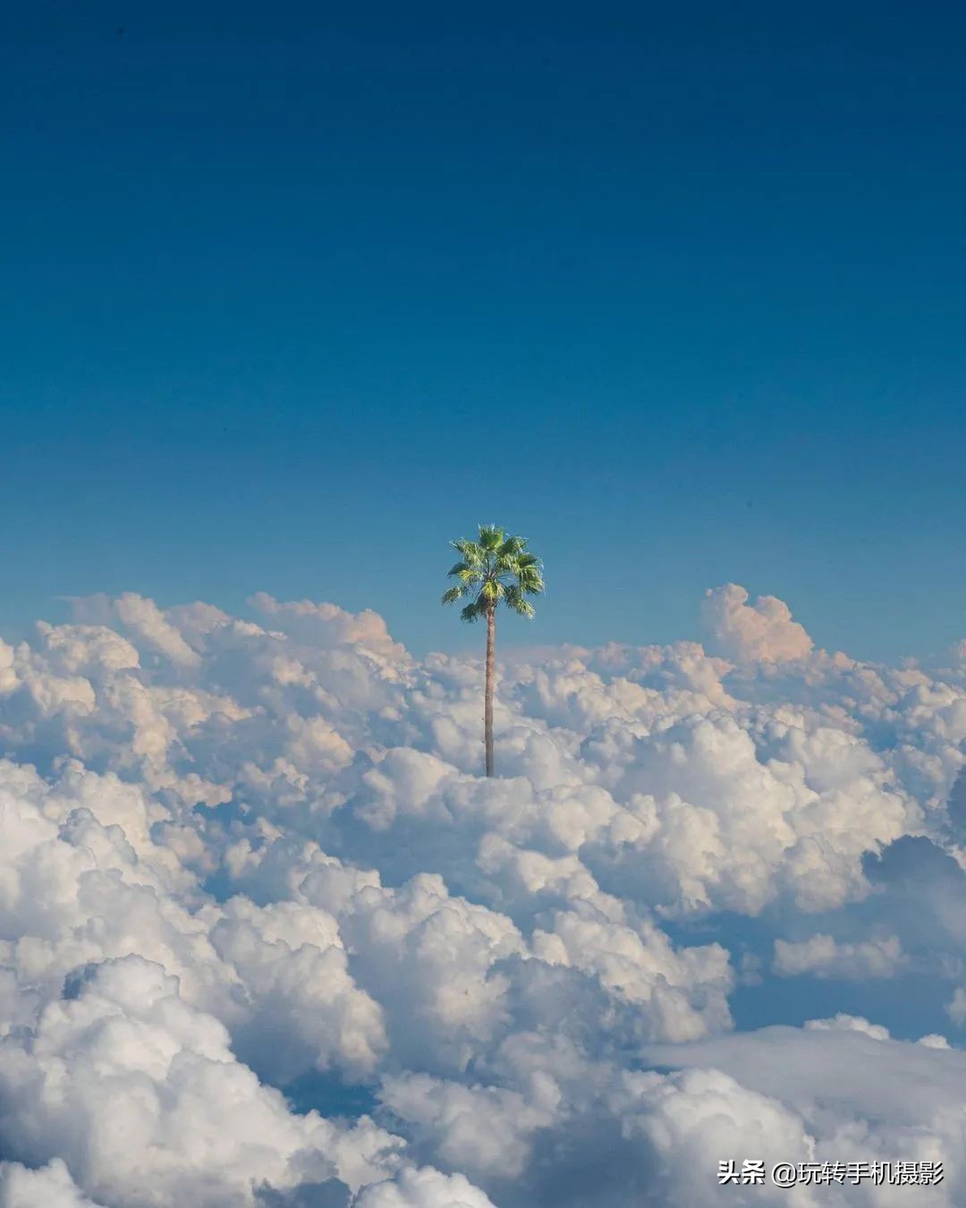 脑洞大开的创意照片古装,脑洞大开照片教程