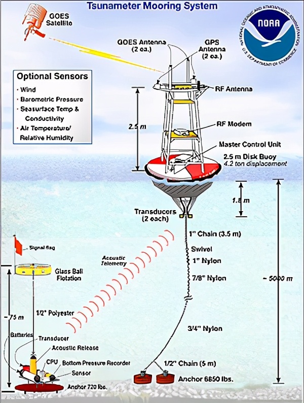 海啸爆发期能跑吗,海啸时站在楼顶能躲避海啸么